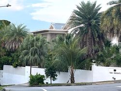 Toh Estate (D17), Detached #608683441
